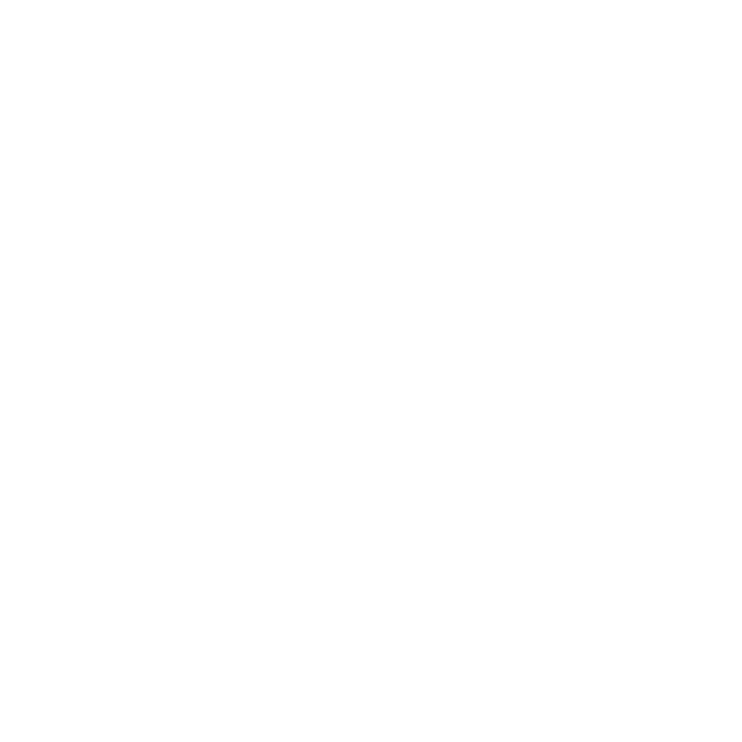 MCP Logo